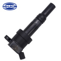 27301-03110 Ignition Coil For Korean Car Hyundai Kia